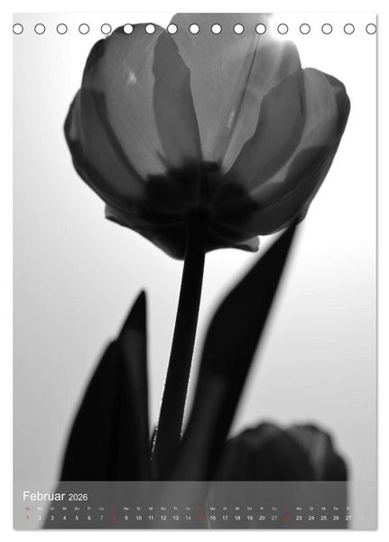 Produktbild: Monochrome Bl&uuml;ten - In Schwarz-Wei&szlig; Bildern durch das Jahr (Tischkalender 2026 DIN A5 hoch), CALVENDO Monatskalender