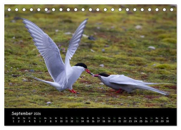 Produktbild: Spitzbergen (Tischkalender 2026 DIN A5 quer), CALVENDO Monatskalender