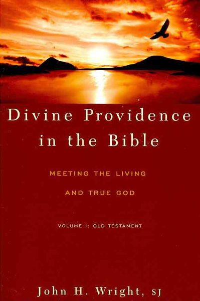 Produktbild: Divine Providence in the Bible: Meeting the Living and True God