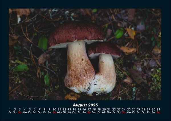 Produktbild: Pilzkalender 2025 Fotokalender DIN A4