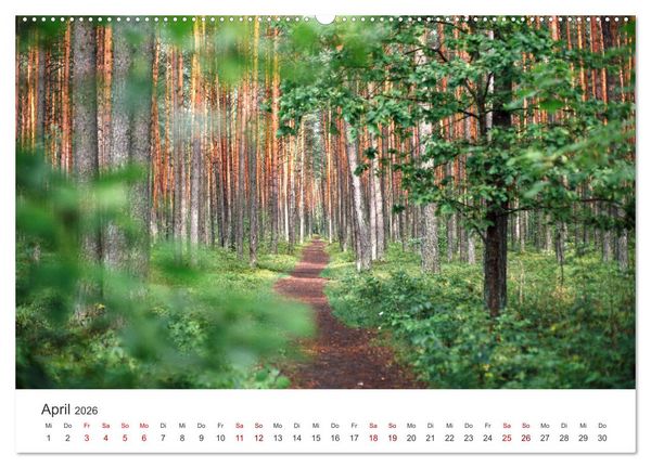 Produktbild: Litauen - Eine unvergessliche Reise ins Baltikum. (hochwertiger Premium Wandkalender 2026 DIN A2 quer), Kunstdruck in Hochglanz