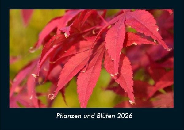 Pflanzen und Blüten 2026 Fotokalender DIN A4