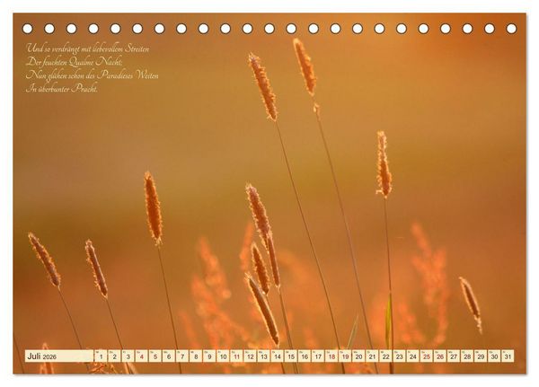 Produktbild: Sommergr&auml;ser (Tischkalender 2026 DIN A5 quer), CALVENDO Monatskalender