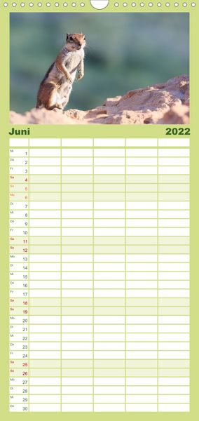 Produktbild: Atlash&ouml;rnchen - Familienplaner hoch (Wandkalender 2022 , 21 cm x 45 cm, hoch)