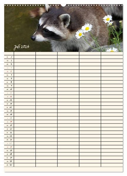 Produktbild: Waschb&auml;ren Familienplaner (hochwertiger Premium Wandkalender 2026 DIN A2 hoch), Kunstdruck in Hochglanz
