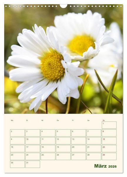 Produktbild: Vertr&auml;umte G&auml;nsebl&uuml;mchen (Wandkalender 2026 DIN A3 hoch), CALVENDO Monatskalender