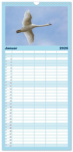 Produktbild: Familienplaner 2026 - V&ouml;gel im Flug - Akrobaten der L&uuml;fte mit 5 Spalten (Wandkalender, 21 x 45 cm) CALVENDO