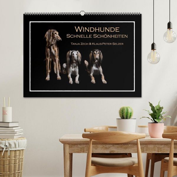 Produktbild: Windhunde - Schnelle Sch&ouml;nheiten (Wandkalender 2026 DIN A2 quer), CALVENDO Monatskalender