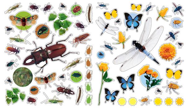 Produktbild: Eyelike Stickers: Bugs
