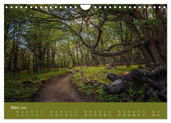 Produktbild: Farbenfrohes Patagonien (Wandkalender 2026 DIN A4 quer), CALVENDO Monatskalender