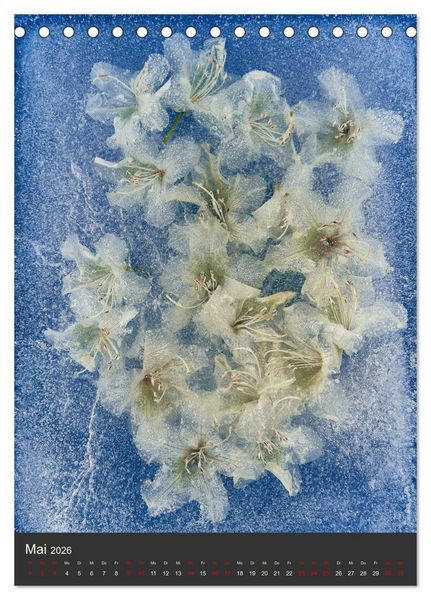 Produktbild: Magische Eisblumen (Tischkalender 2026 DIN A5 hoch), CALVENDO Monatskalender