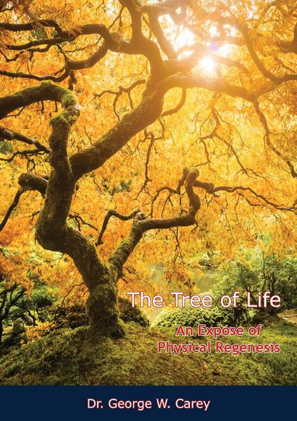 Produktbild: Tree of Life