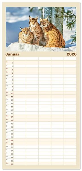 Produktbild: Familienplaner 2026 - Arber, Rachel und Lusen: Der Hintere Bayerische Wald mit 5 Spalten (Wandkalender, 21 x 45 cm) CALVENDO