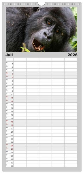 Produktbild: Familienplaner 2026 - Gorillas ohne Nebel mit 5 Spalten (Wandkalender, 21 x 45 cm) CALVENDO