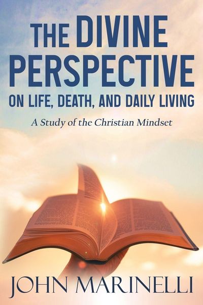 Produktbild: The Divine Perspective