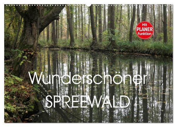 Produktbild: Wundersch&ouml;ner Spreewald (Wandkalender 2026 DIN A2 quer), CALVENDO Monatskalender