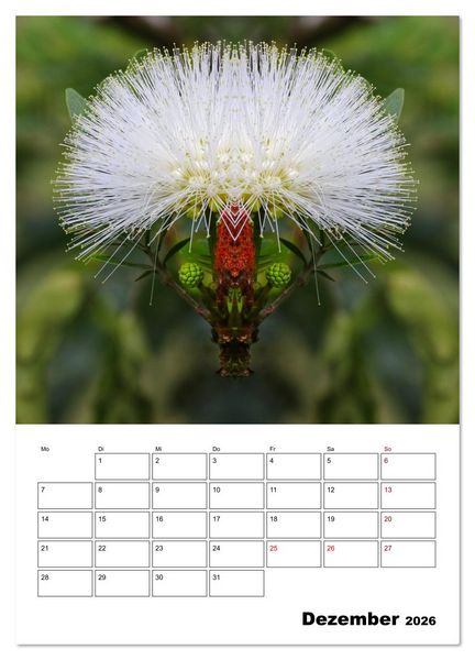 Produktbild: Fotokunst und Natur 2026 (Wandkalender 2026 DIN A3 hoch), CALVENDO Monatskalender