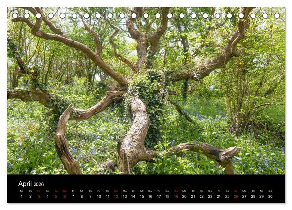 Produktbild: Unterwegs auf der Isle of Wight (Tischkalender 2026 DIN A5 quer), CALVENDO Monatskalender