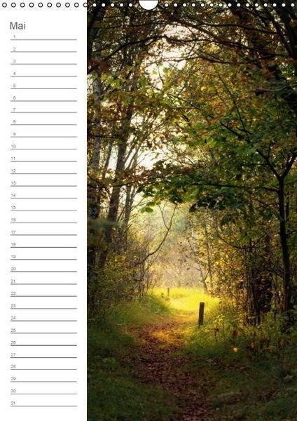 Produktbild: Malerisches Teufelsmoor (Wandkalender immerw&auml;hrend DIN A3 hoch)