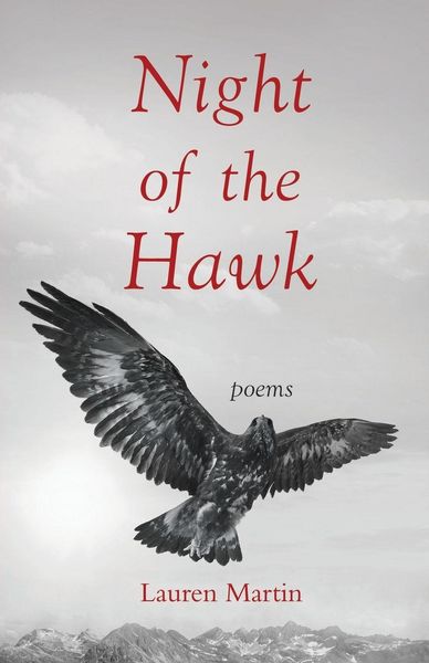Produktbild: Night of the Hawk