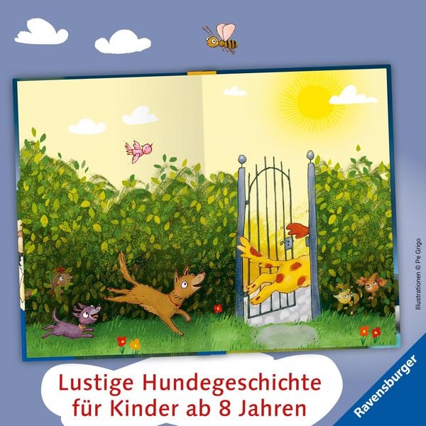Produktbild: 3 Streuner werden Filmstars