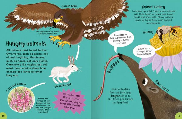 Produktbild: Encyclopedia of Incredible Things