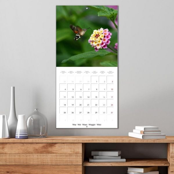 Produktbild: WILD GARDEN ANIMALS (Wall Calendar 2026 12 &times; 12 Inch) CALVENDO 12 Month Wall Calendar