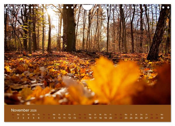 Produktbild: Farbwechsel - Die Farben der vier Jahreszeiten (Wandkalender 2026 DIN A4 quer), CALVENDO Monatskalender
