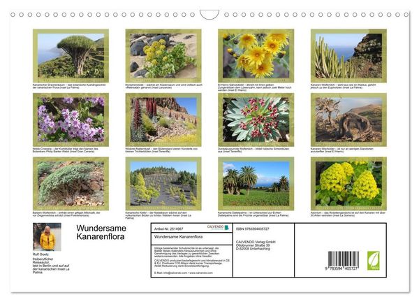 Produktbild: Wundersame Kanarenflora (Wandkalender 2027 DIN A3 quer), CALVENDO Monatskalender