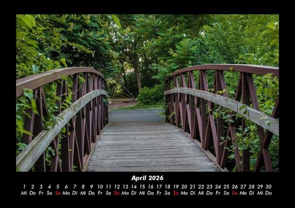 Produktbild: B&auml;ume 2026 Fotokalender DIN A3