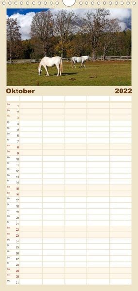 Produktbild: Familienplaner Pferde und Ponys im Paradies (Wandkalender 2022 , 21 cm x 45 cm, hoch)