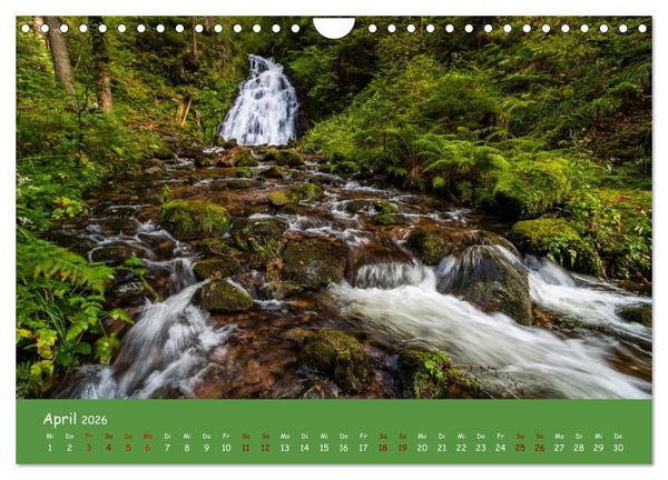 Produktbild: Wassertr&auml;ume im Schwarzwald (Wandkalender 2026 DIN A4 quer), CALVENDO Monatskalender