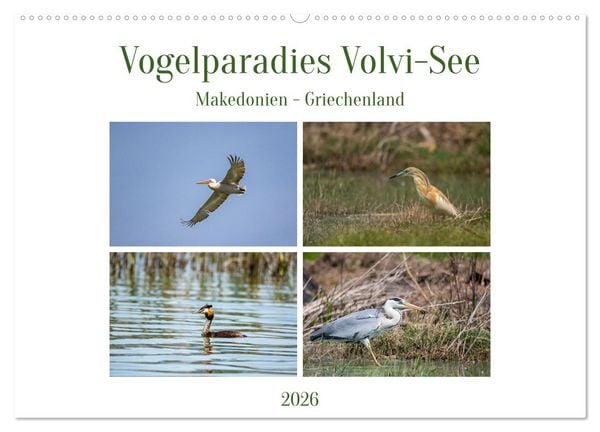 Produktbild: Vogelparadies Volvi-See (Wandkalender 2026 DIN A2 quer), CALVENDO Monatskalender