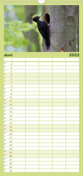 Produktbild: Familienplaner Weltnaturerbe Hainich (Wandkalender 2022 , 21 cm x 45 cm, hoch)