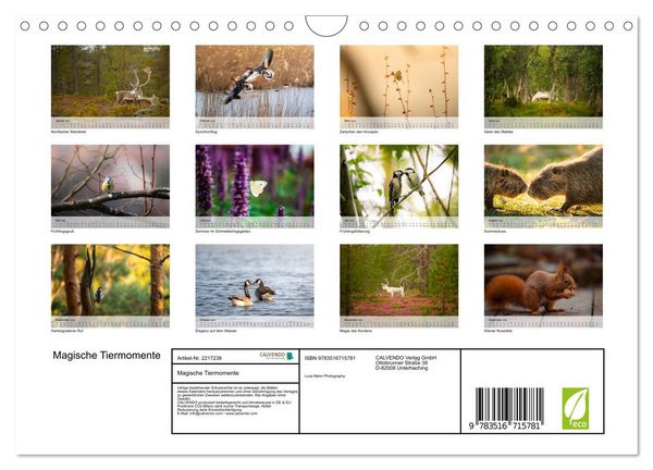 Produktbild: Magische Tiermomente (Wandkalender 2026 DIN A4 quer), CALVENDO Monatskalender