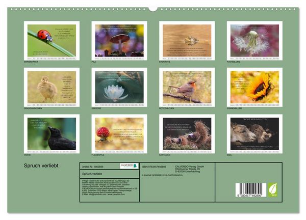 Produktbild: Spruch verliebt (hochwertiger Premium Wandkalender 2026 DIN A2 quer), Kunstdruck in Hochglanz