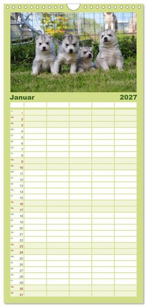 Produktbild: Familienplaner 2027 - Husky Welpen mit 5 Spalten (Wandkalender, 21 x 45 cm) CALVENDO
