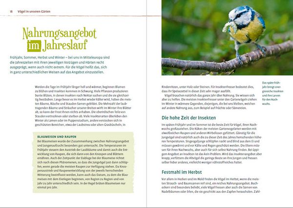 Produktbild: V&ouml;gel f&uuml;ttern im Garten