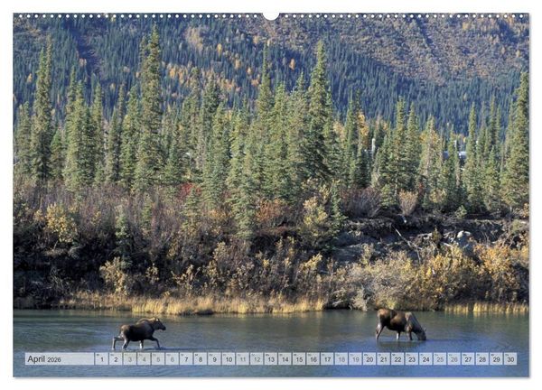 Produktbild: Wildes Alaska Christian Heeb (Wandkalender 2026 DIN A2 quer), CALVENDO Monatskalender