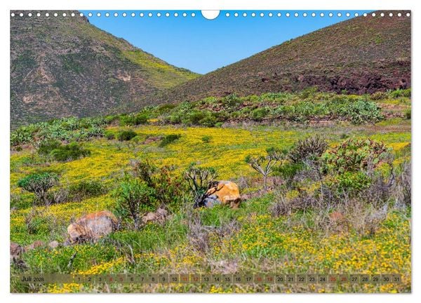 Produktbild: Landschaften der Kanaren - Traumziele f&uuml;r Wanderer (Wandkalender 2026 DIN A3 quer), CALVENDO Monatskalender