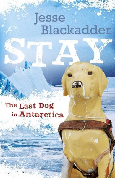Produktbild: Stay: The Last Dog In Antarctica