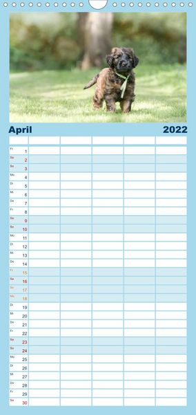 Produktbild: Briardbabys in ihren ersten Wochen - Familienplaner hoch (Wandkalender 2022 , 21 cm x 45 cm, hoch)