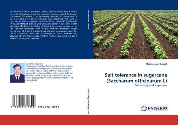 Produktbild: Salt tolerance in sugarcane (Saccharum officinarum L)