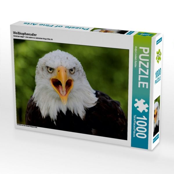 CALVENDO Puzzle Weißkopfseeadler | 1000 Teile Lege-Größe 64x48cm Foto-Puzzle für glückliche Stunden
