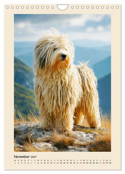 Produktbild: Dreadlocks auf Pfoten. Ungarische Hirtenhunde im Zottelfell (Wandkalender 2027 DIN A4 hoch), CALVENDO Monatskalender
