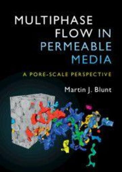 Produktbild: Multiphase Flow in Permeable Media