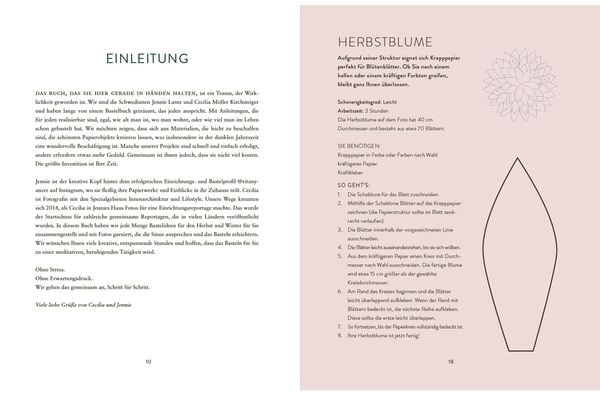 Produktbild: Wintersterne & Eiskristalle