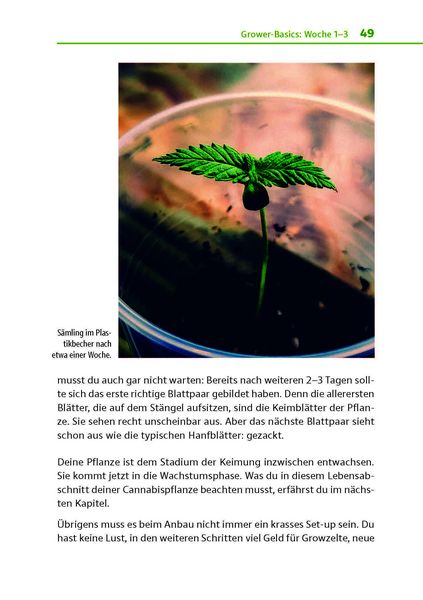 Produktbild: Cannabis zu Hause anbauen f&uuml;r Anf&auml;nger