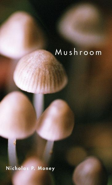 Produktbild: Mushroom