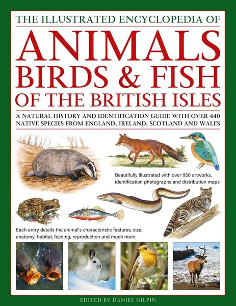 Produktbild: The Animals, Birds & Fish of the British Isles, Illustrated Guide to